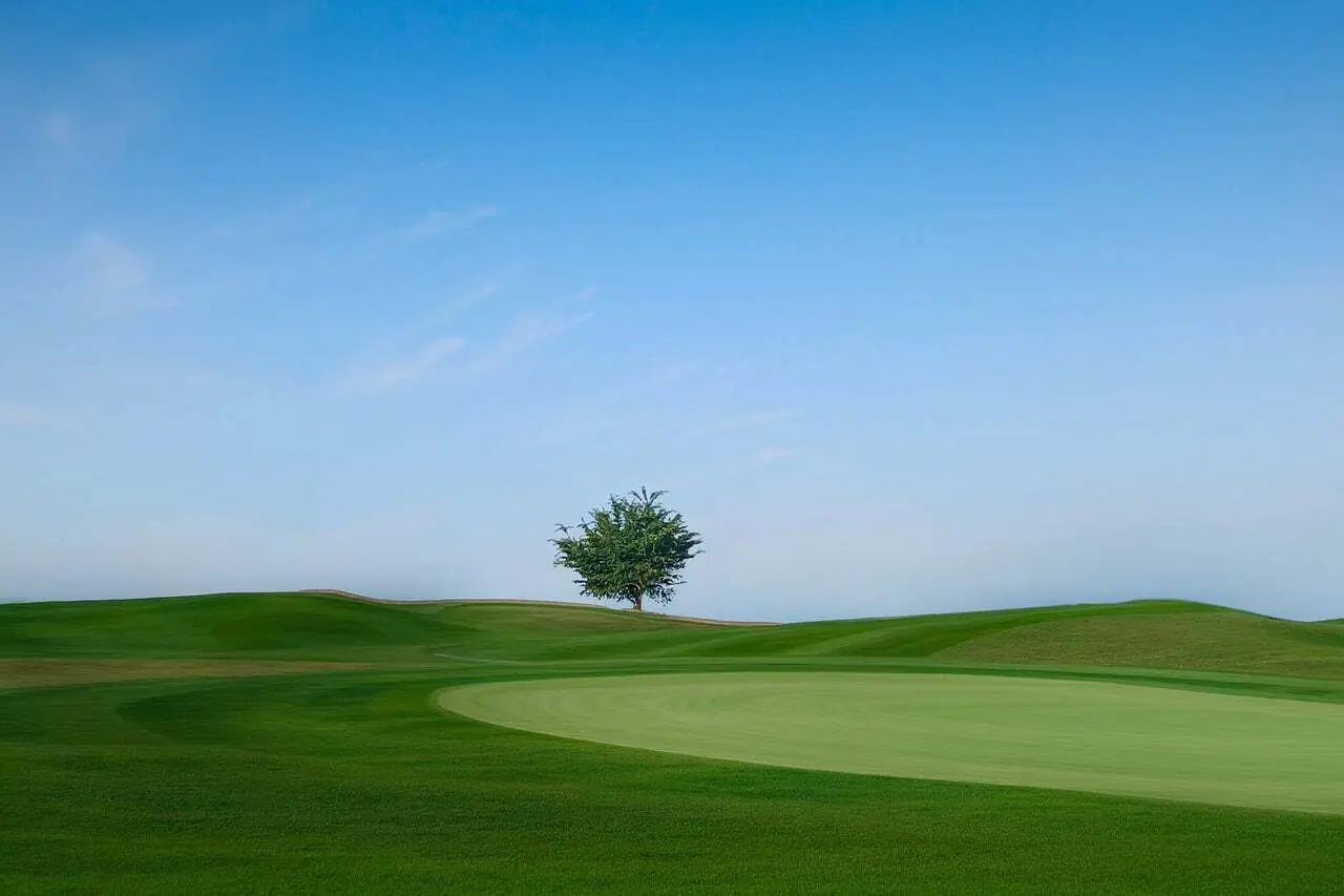 Golfbane med green og træ