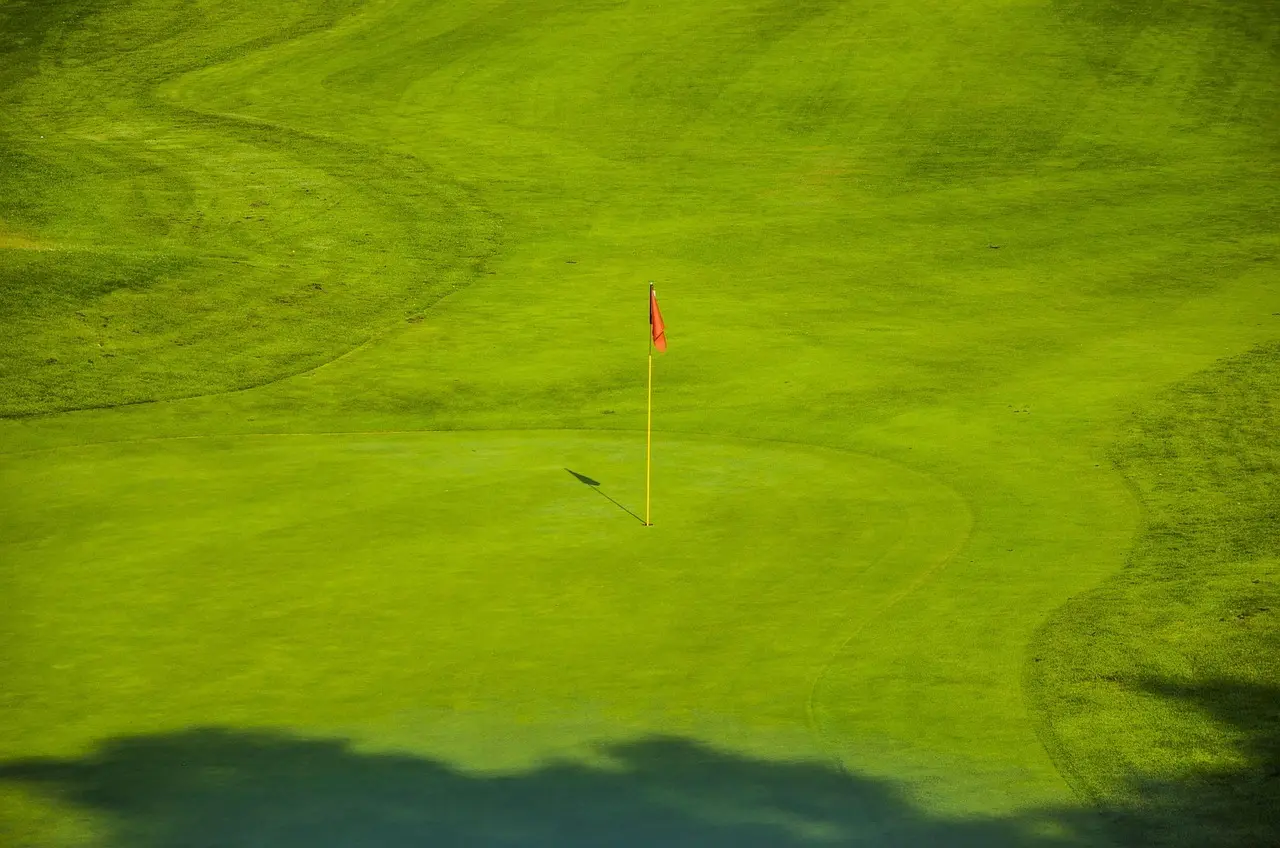 Golfgreen med flag